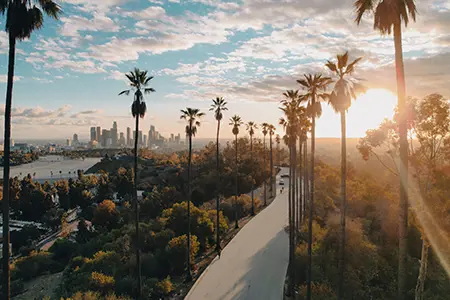 California LA